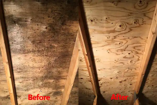 water damage restoration service Gillis